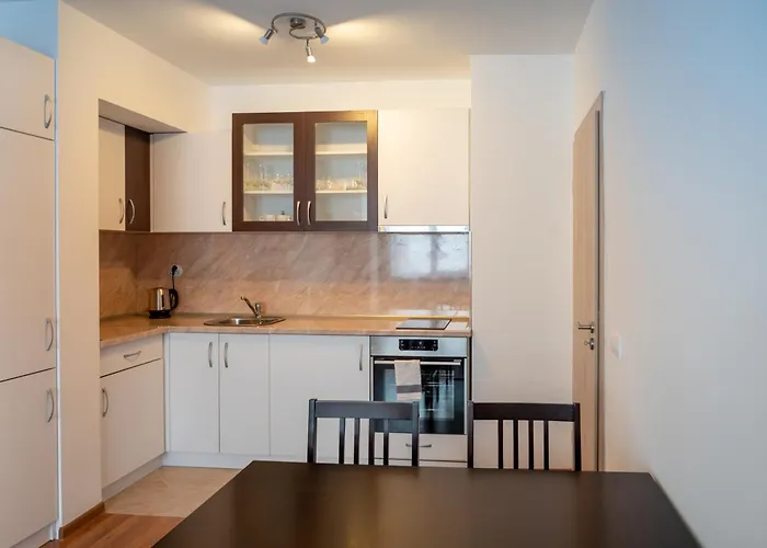 Sunny 1bdr Near Center *